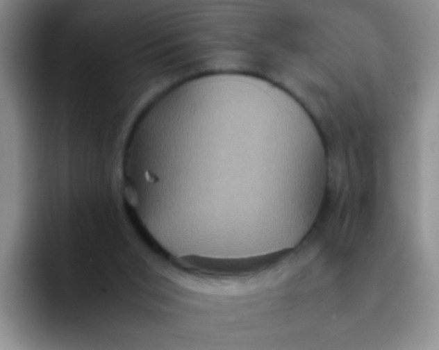 X0000091940015200709261941