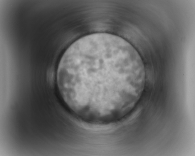 X0000091940016200709261941