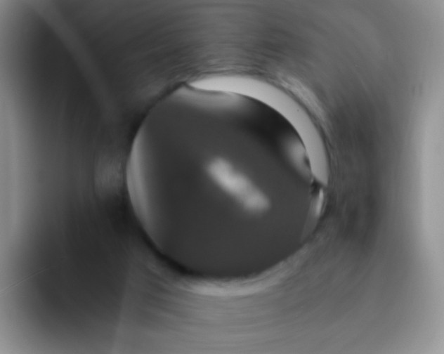 X0000091940017200709261940