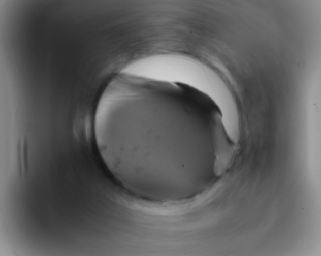 X0000091940019200709261940