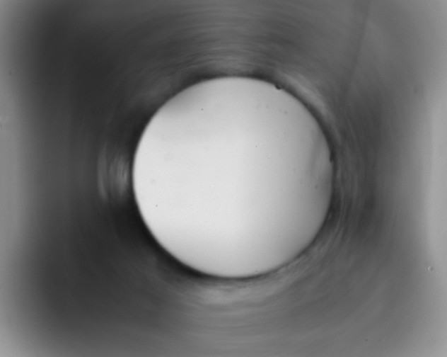 X0000091940021200709261940