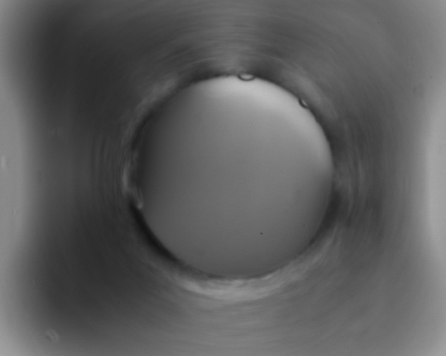 X0000091940023200709261940