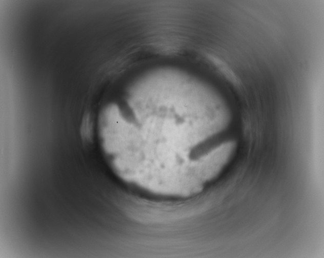 X0000091940026200709261940