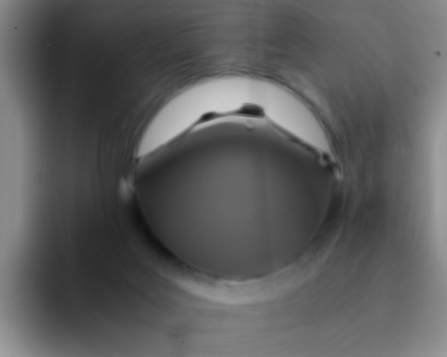 X0000091940027200709261940