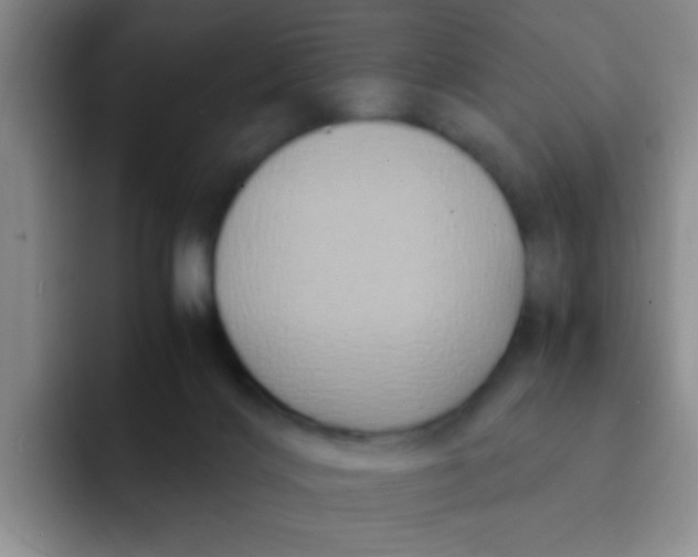 X0000091940028200709261940