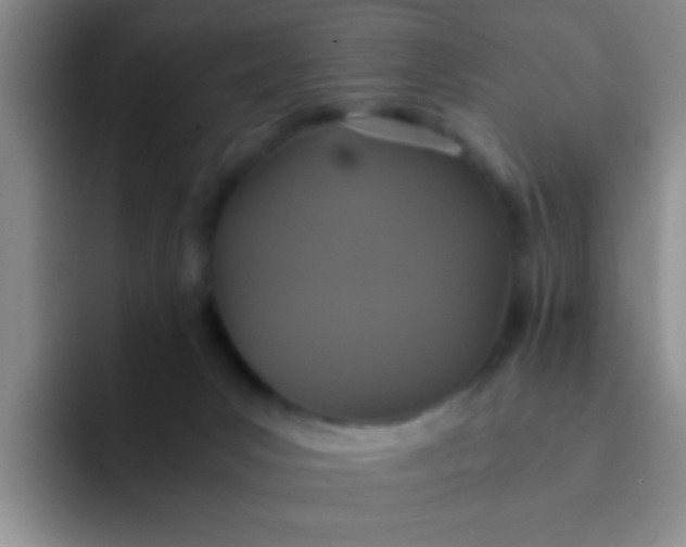 X0000091940031200709261940