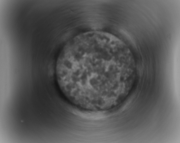 X0000091940032200709261940