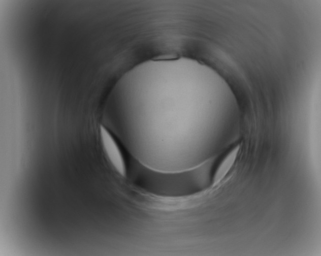 X0000091940037200709261940