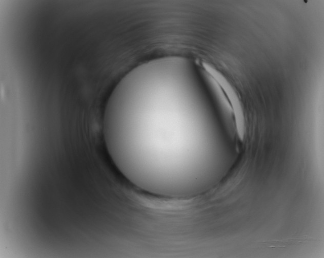 X0000091940040200709261940