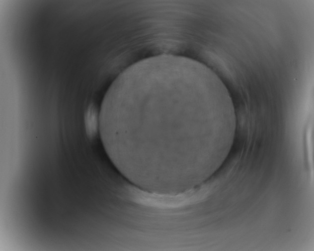 X0000091940042200709261940