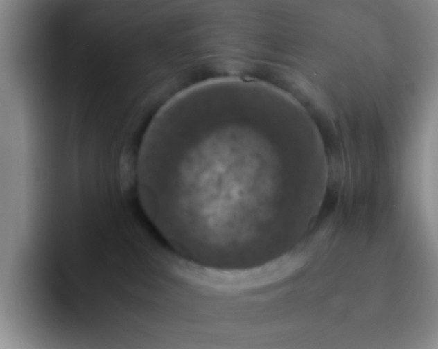 X0000091940043200709261940