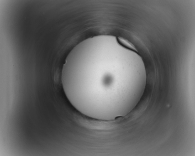 X0000091940044200709261940