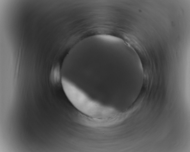 X0000091940046200709261940