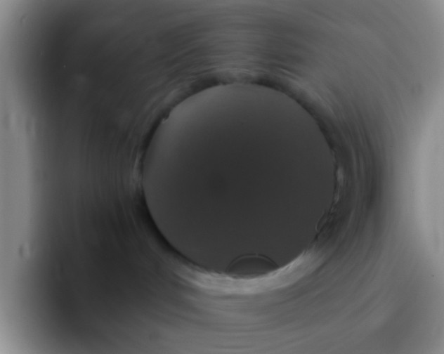 X0000091940048200709261940