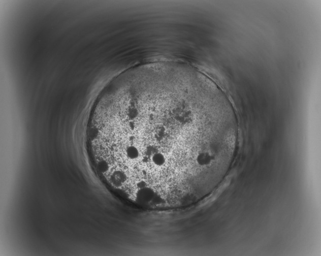 X0000091940049200709261940