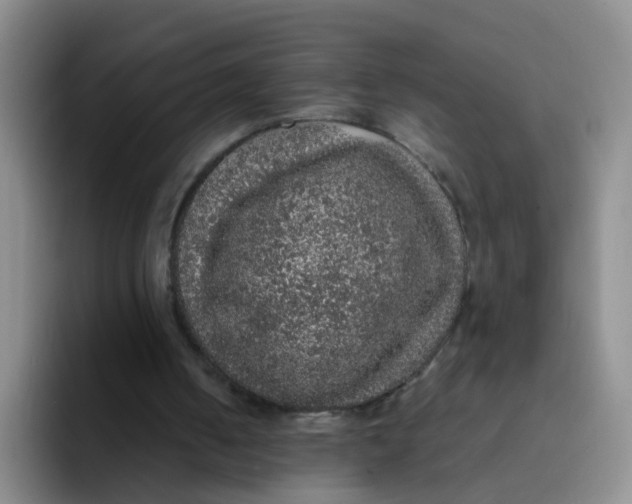 X0000091940050200709261940