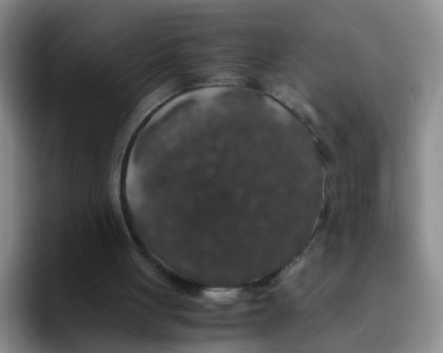 X0000091940051200709261940