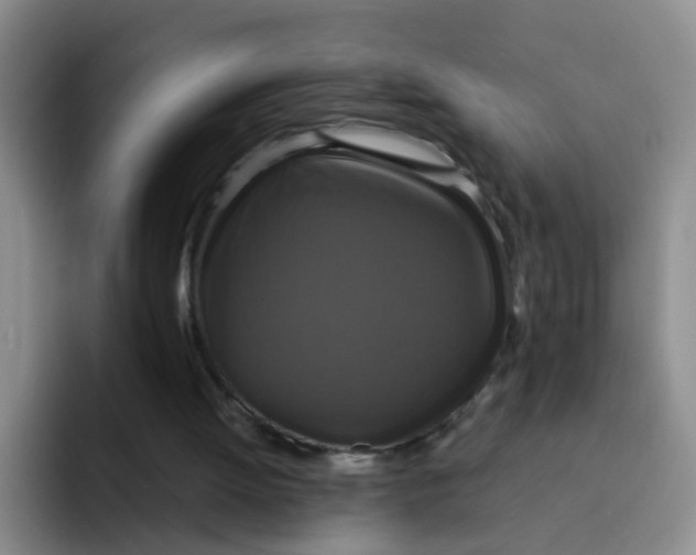 X0000091940052200709261940