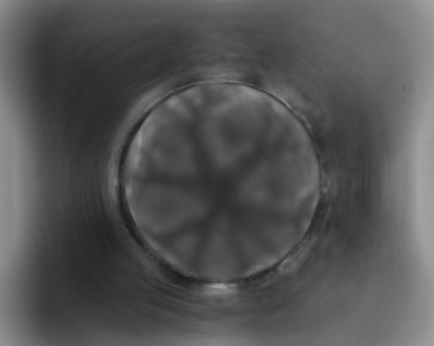 X0000091940053200709261940