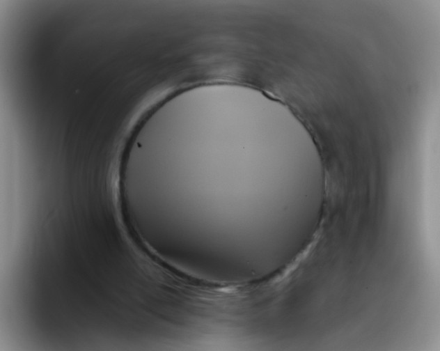 X0000091940054200709261940