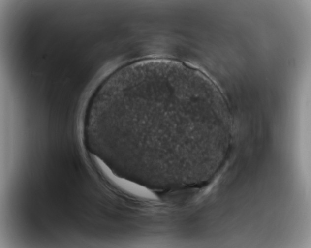 X0000091940055200709261940