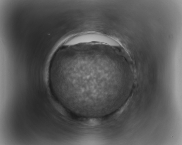 X0000091940056200709261940