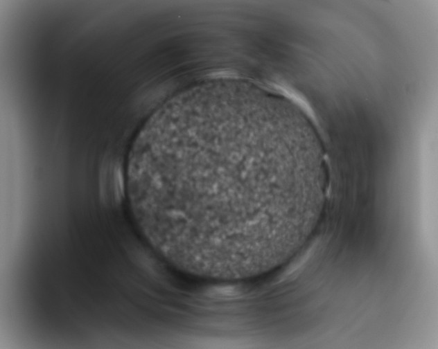 X0000091940061200709261940