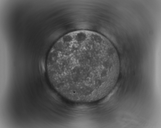 X0000091940062200709261940