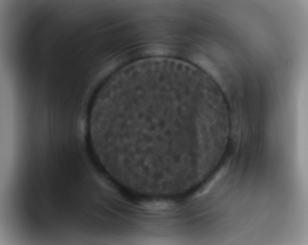 X0000091940063200709261940