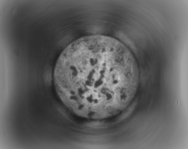 X0000091940065200709261940