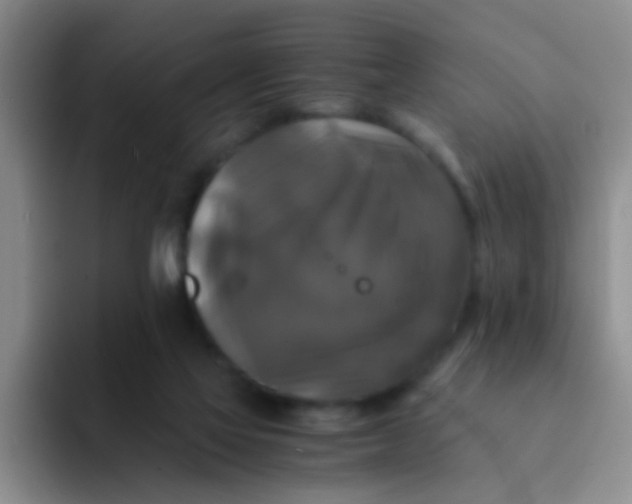 X0000091940069200709261940