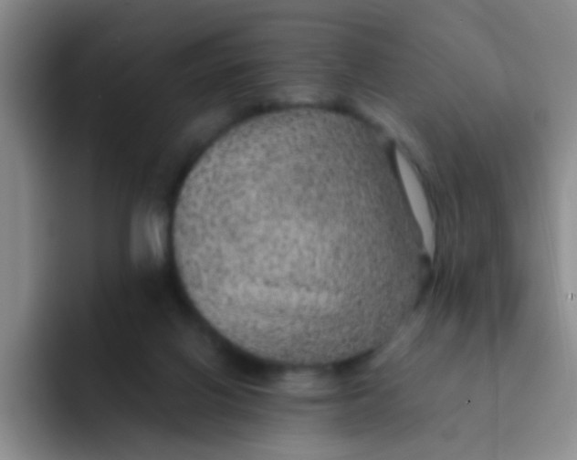 X0000091940070200709261940