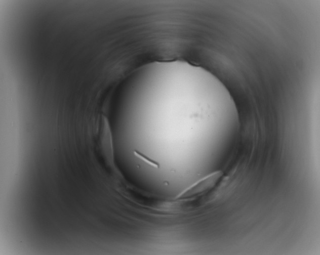 X0000091940084200709261940