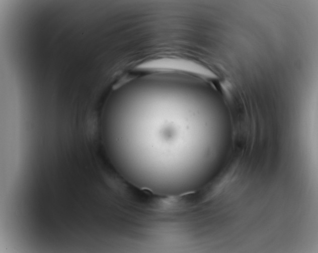 X0000091940092200709261940