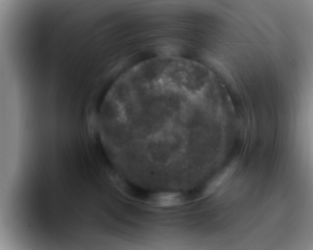 X0000091940093200709261940