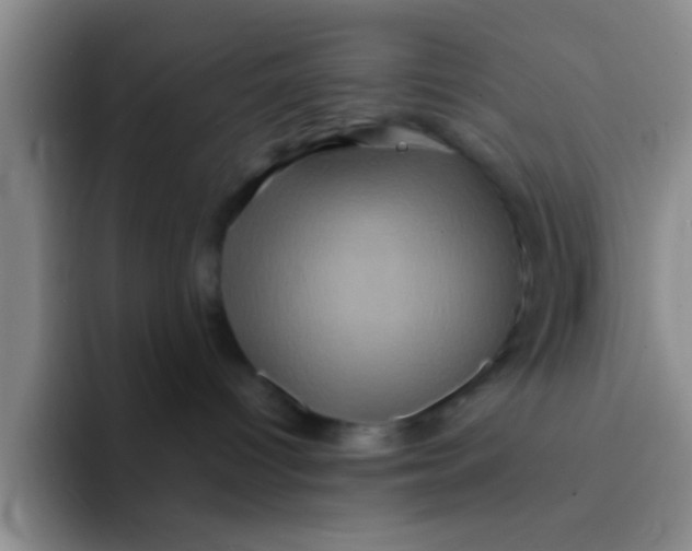 X0000091940096200709261940