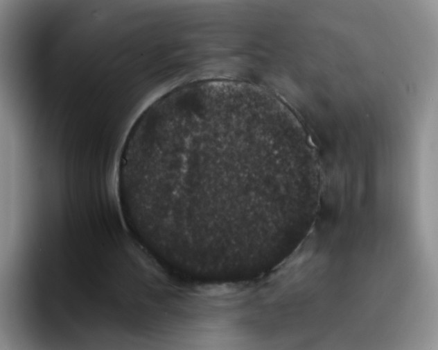 X0000091940100200709261940