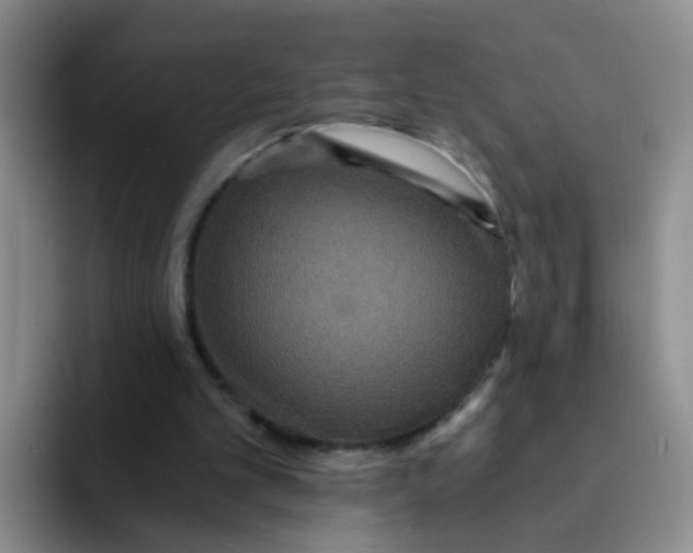 X0000091940101200709261940