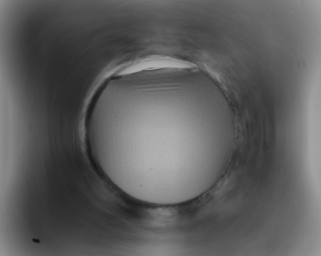 X0000091940102200709261940