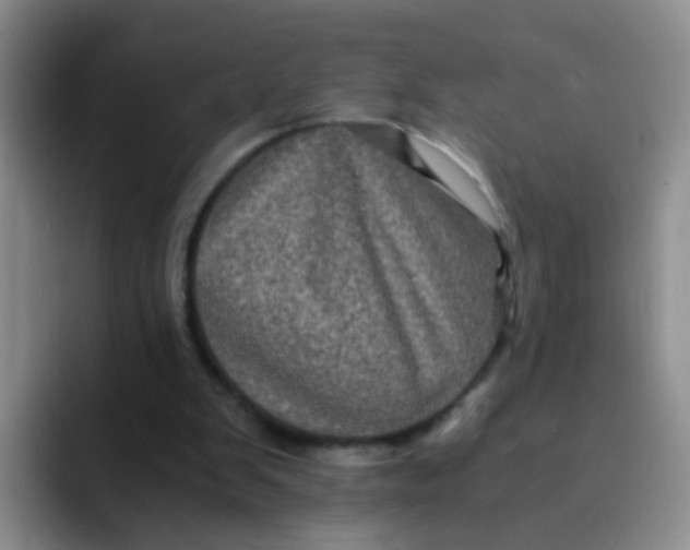 X0000091940103200709261939