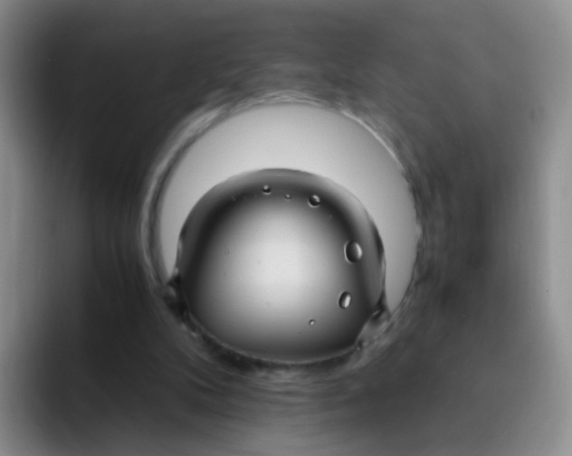 X0000091940104200709261939