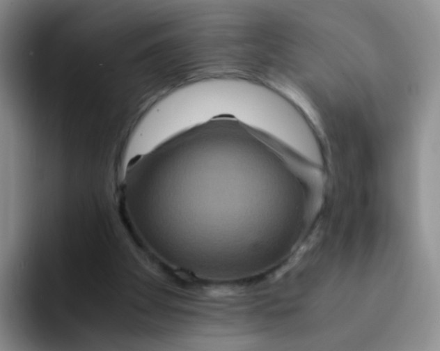 X0000091940105200709261939