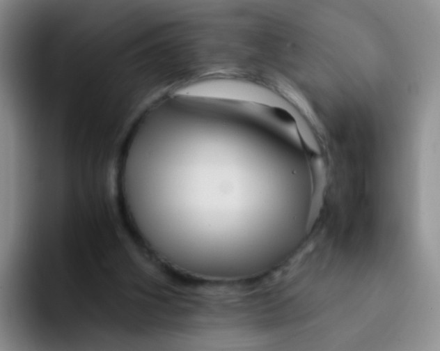 X0000091940106200709261939