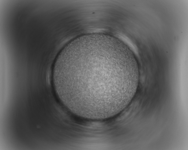 X0000091940107200709261939