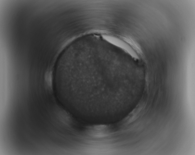 X0000091940108200709261939