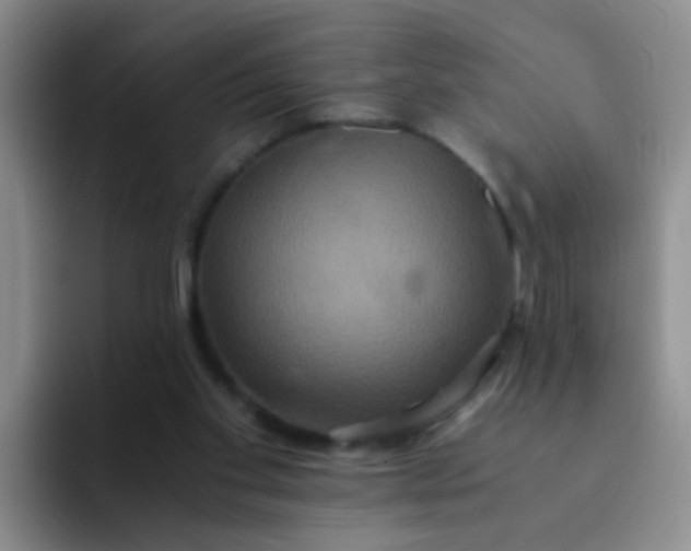 X0000091940109200709261939