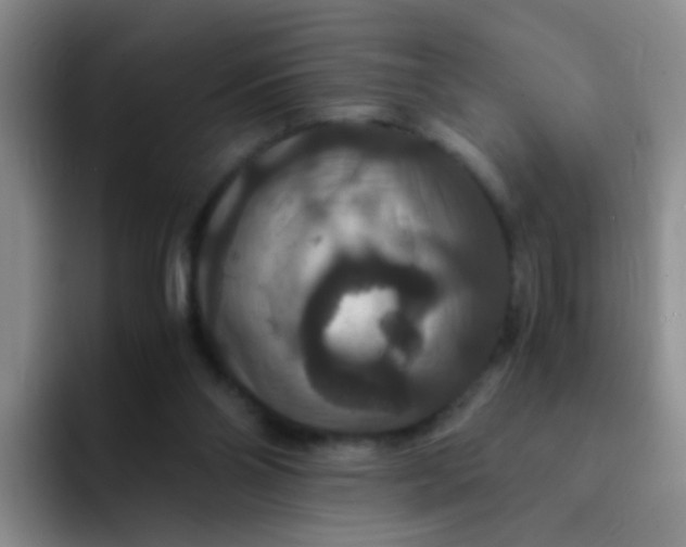 X0000091940110200709261939