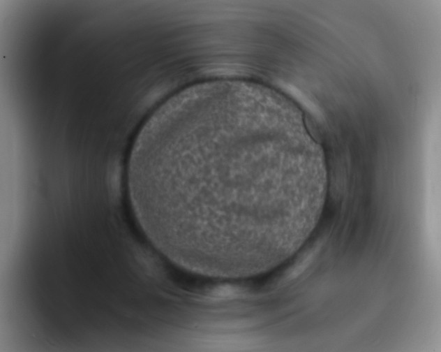 X0000091940111200709261939