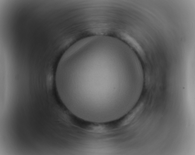 X0000091940113200709261939