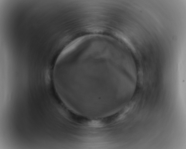 X0000091940114200709261939